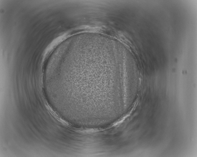 X0000081580149200701291249