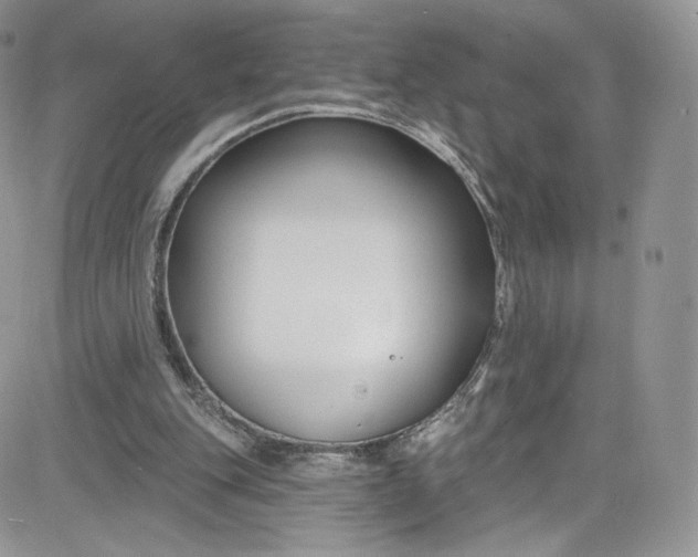 X0000081580151200701291249