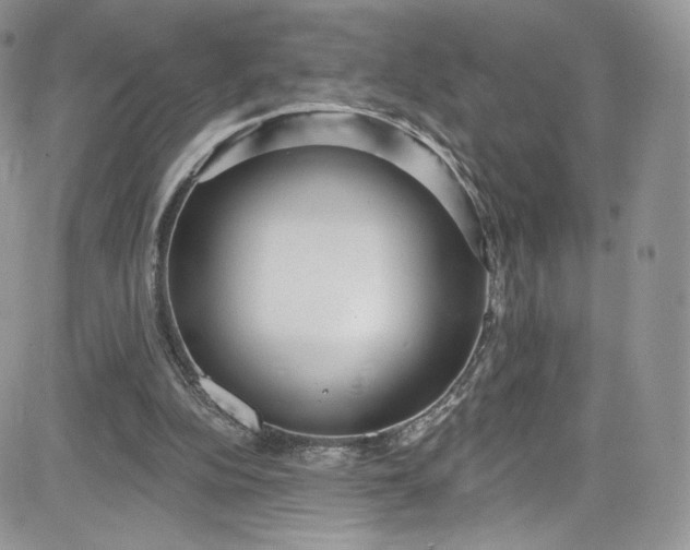 X0000081580152200701291249