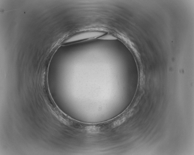 X0000081580153200701291249