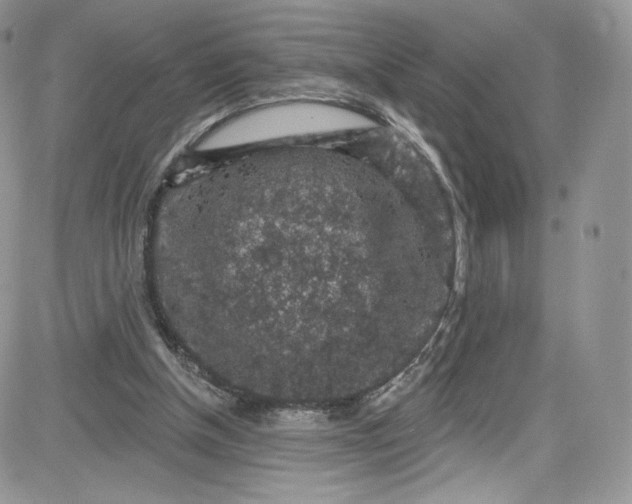 X0000081580154200701291249