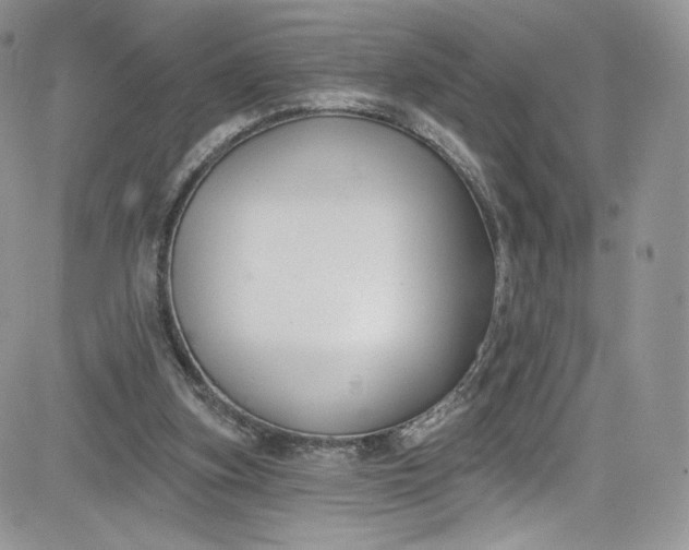 X0000081580155200701291249