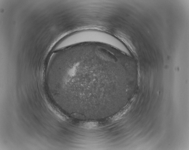 X0000081580156200701291249