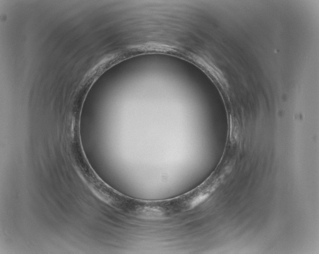 X0000081580157200701291249