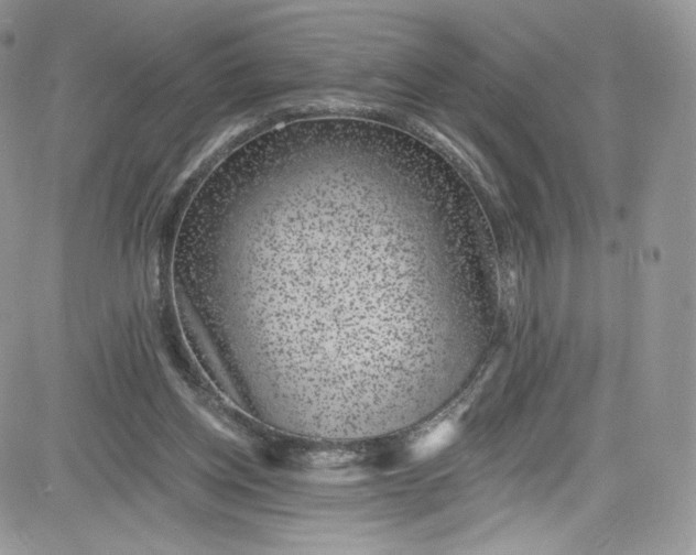 X0000081580158200701291249