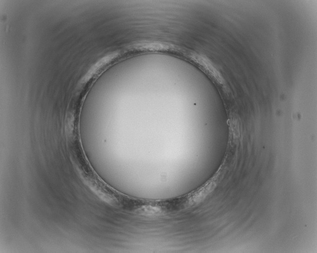 X0000081580159200701291249