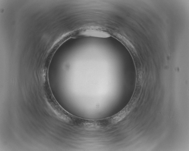 X0000081580160200701291249