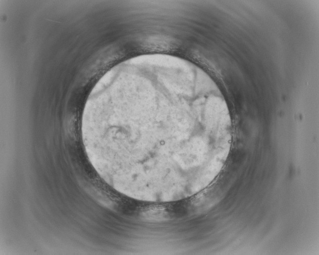 X0000081580162200701291249