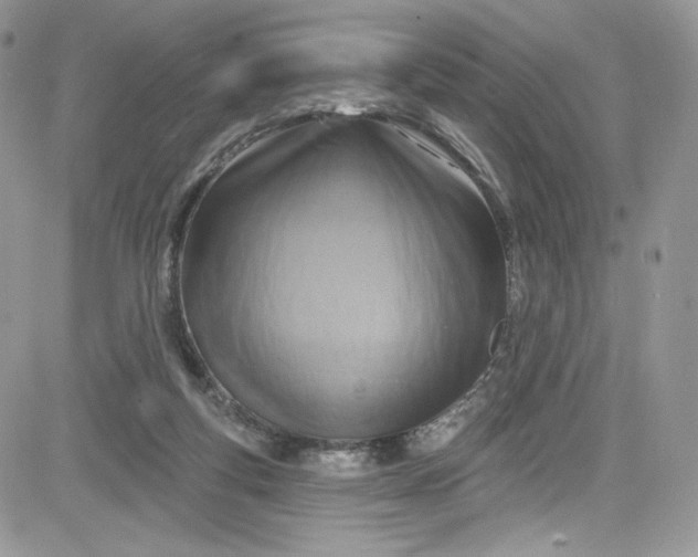 X0000081580163200701291249