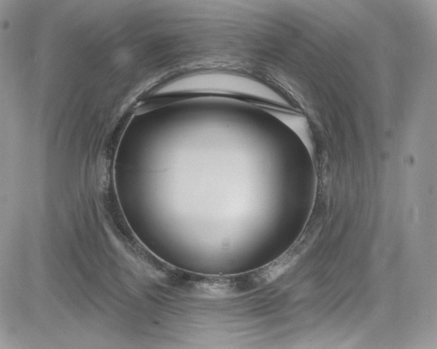 X0000081580164200701291249