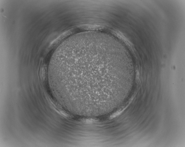 X0000081580165200701291249