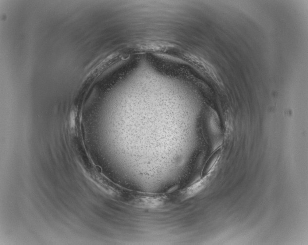 X0000081580166200701291249