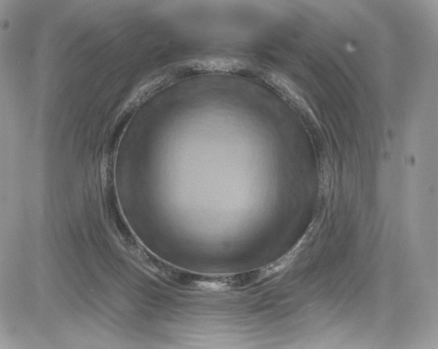 X0000081580167200701291249