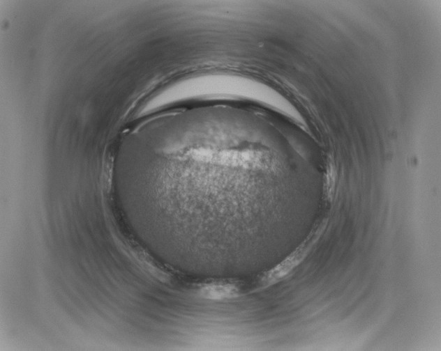 X0000081580168200701291249