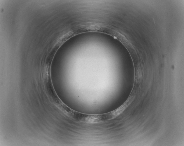 X0000081580172200701291249