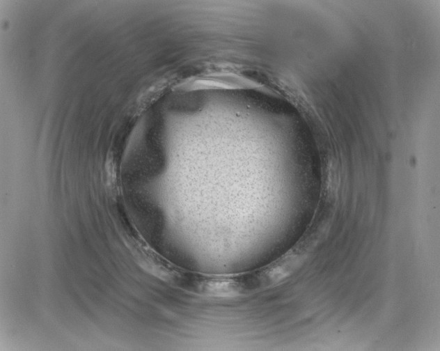 X0000081580173200701291249