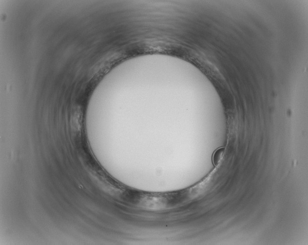 X0000081580174200701291249