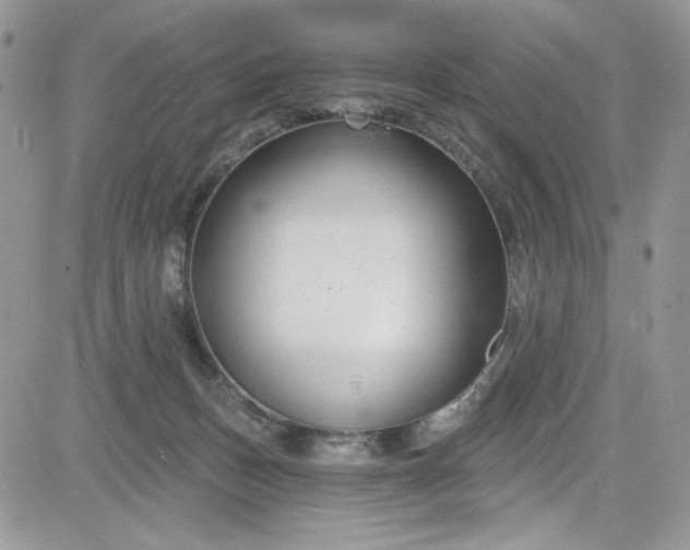 X0000081580175200701291249