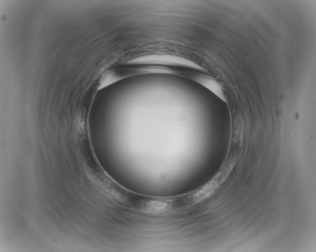 X0000081580176200701291249