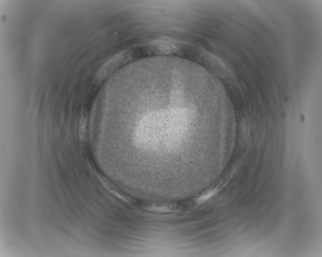 X0000081580177200701291249