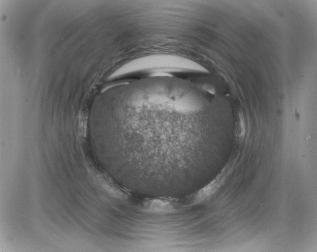 X0000081580180200701291249