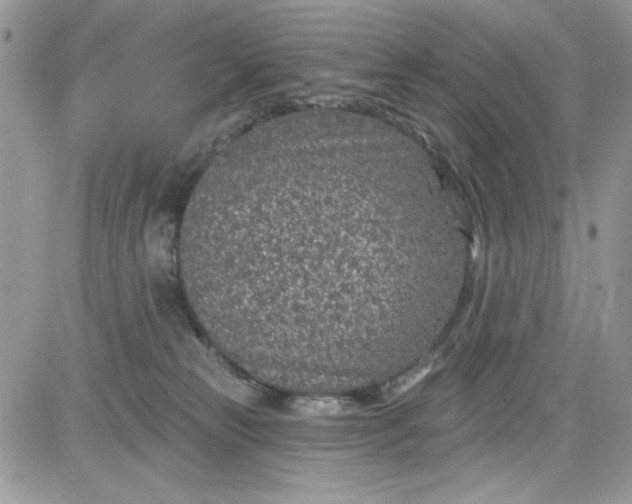 X0000081580181200701291249