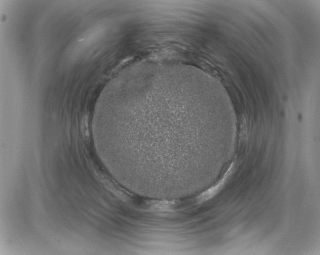 X0000081580182200701291249