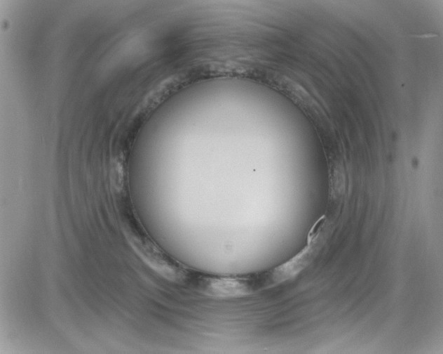 X0000081580183200701291249