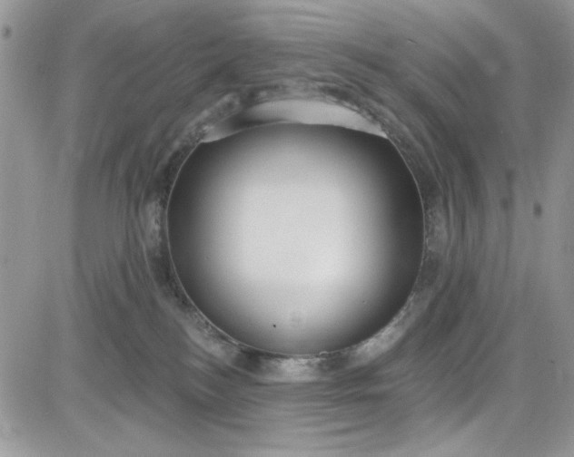 X0000081580184200701291249