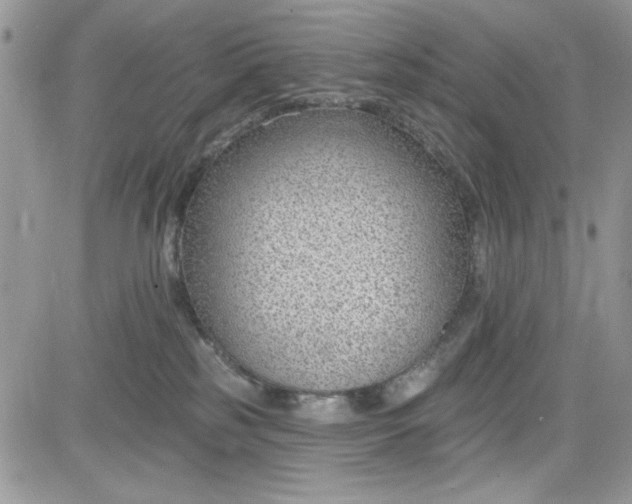 X0000081580185200701291249