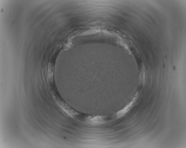 X0000081580186200701291249