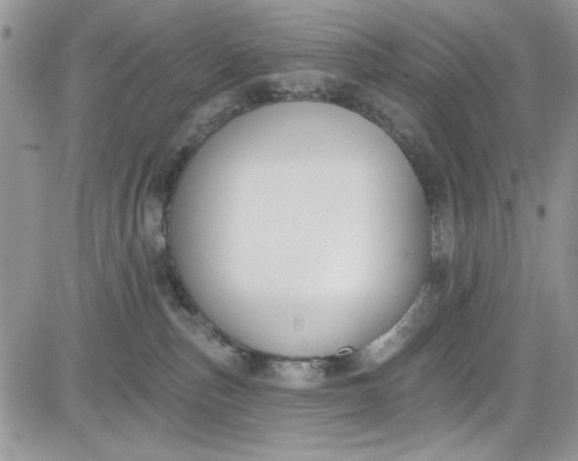 X0000081580187200701291249