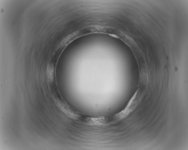 X0000081580188200701291249