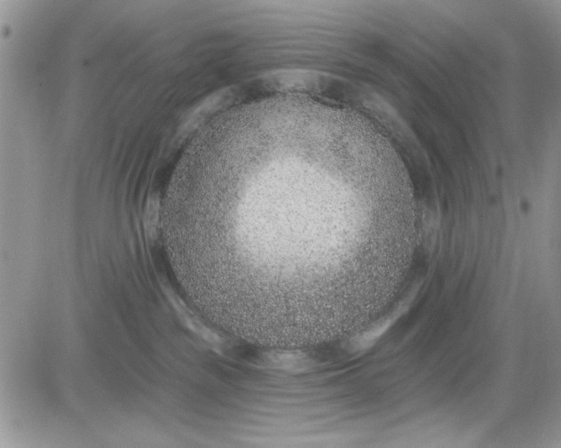 X0000081580189200701291249