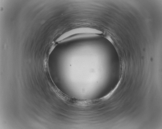 X0000081580190200701291249