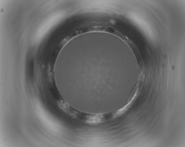 X0000081580191200701291249