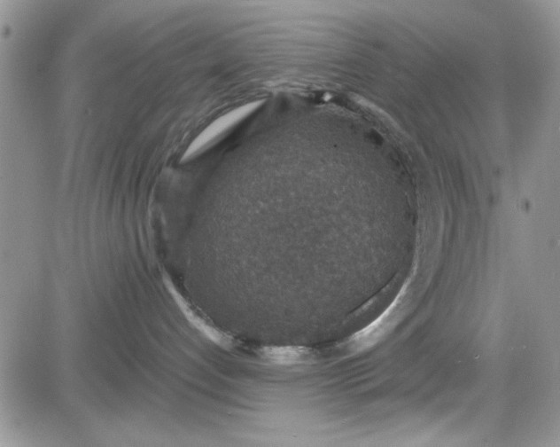 X0000081580192200701291249