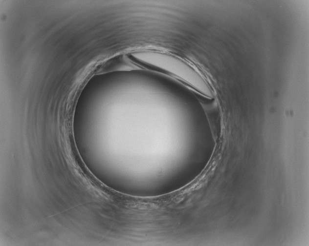 X0000081580193200701291248