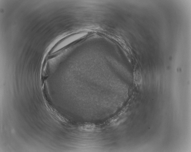 X0000081580196200701291248