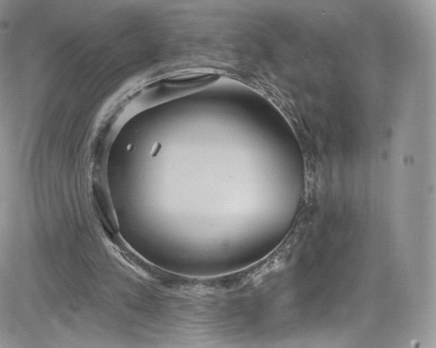 X0000081580197200701291248