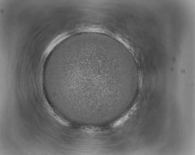 X0000081580199200701291248