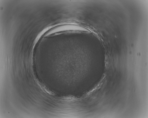 X0000081580200200701291248