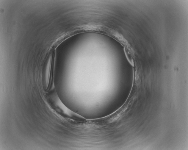 X0000081580201200701291248