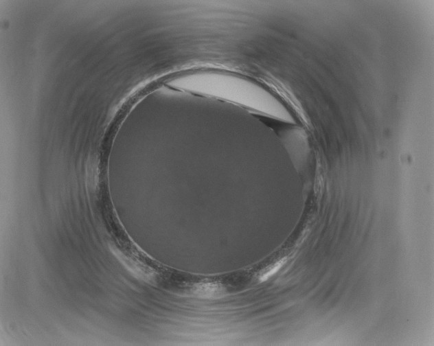 X0000081580204200701291248