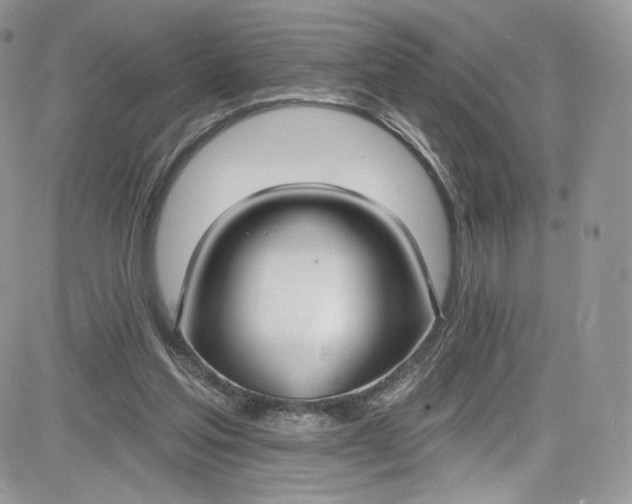 X0000081580205200701291248