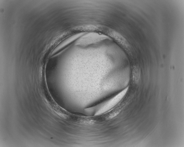 X0000081580206200701291248