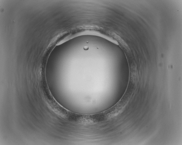 X0000081580207200701291248