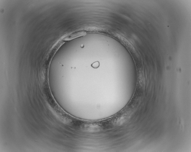 X0000081580208200701291248