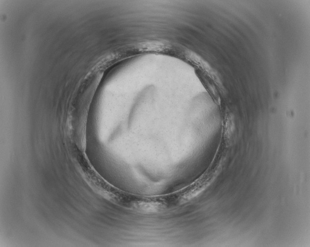 X0000081580209200701291248