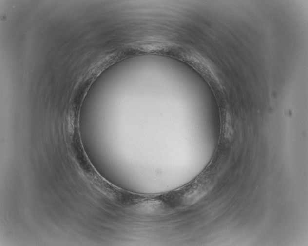 X0000081580210200701291248